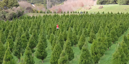 Santa's Forest Opening Weekend 2025 - Sunday