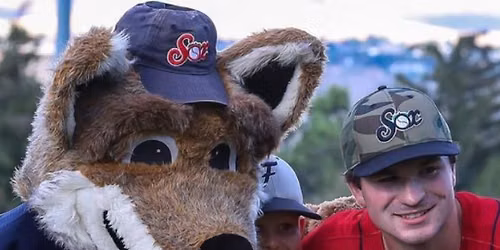 Rotary Night at the Applesox