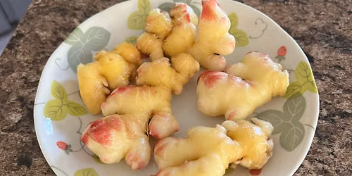 Ginger Day