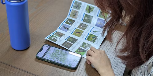 Singapore Biodiversity Race: iNaturalist Introduction & Training