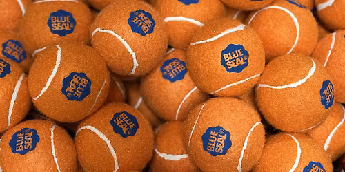 New Year's Eve Pup Tennis Ball Drop