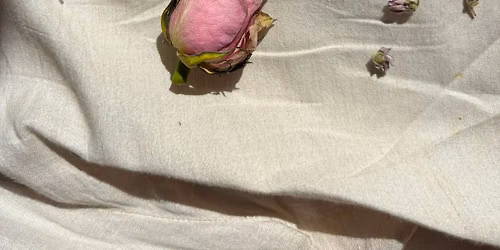 Rose - A 6 month Feminine Embodiment Immersion 