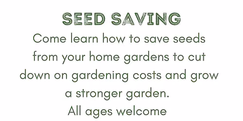 Seed Saving