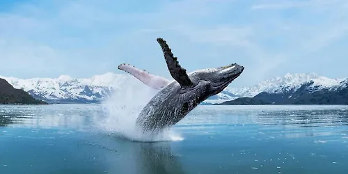Travel Forum On Stage Alaska featuring Holland America