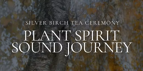 Silver Birch Plant Spirit Sound Journey
