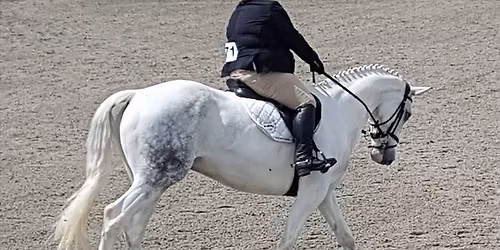 HVRC Points Unaffiliated Dressage Show