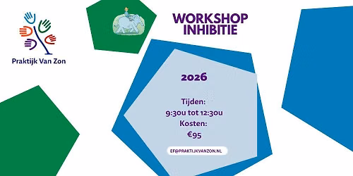 Workshop Inhibitie Online