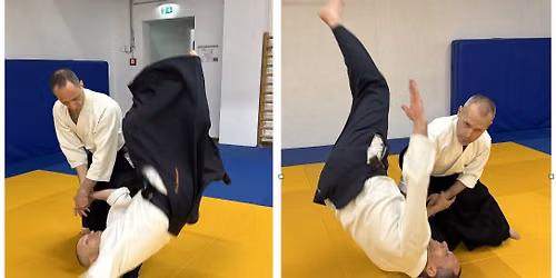Aiki-no-michi Linz meets Aiki-no-michi Salzburg