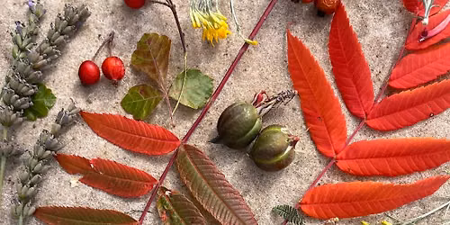 Fall Foliage Art & Journaling Workshop