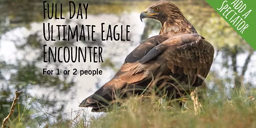 *SOLD OUT* VIP Full day Ultimate Eagle Encounter (18+) - for 1 or 2 people - Wed 13th May 26
