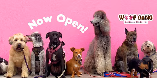 Grand Opening