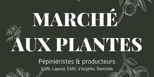 March\u00e9 aux plantes & produits locaux