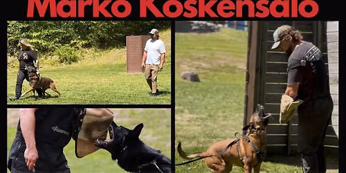 Marko Koskensalo obedience and protection seminar