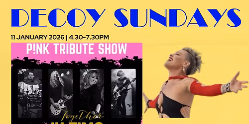 P!NK tribute | Sunset River Cruise | The Decoy Paddle Steamer | Sunday 11th January 2026 | 4.30-7.30
