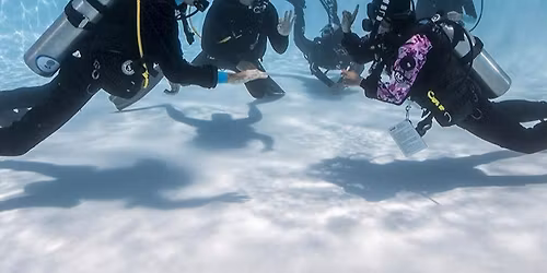 August, ReActivate (Refresher) Class w\/ Salem Scuba