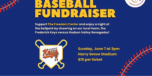 Baseball Fundraiser