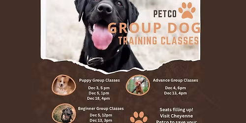 Petco Dog Training Classes 