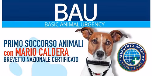 CORSO di PRIMO SOCCORSO ANIMALI \ud83d\udc3e