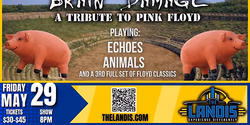 Brain Damage: Performing Pink Floyd's "Animals" + MORE!