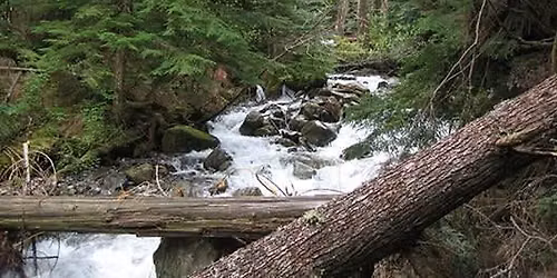 Asahel Curtis Nature Trail Hike