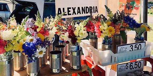 Farmers Market Alexandria MN