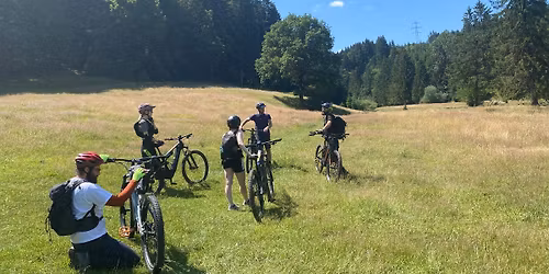 eBike & Rhododendron \u00een Masivul Ciuca\u0219 - Cabana Ciuca\u0219, culmea si Vf Grop\u0219oarele.  