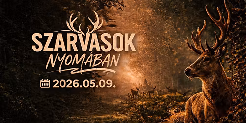 II. Somogyi Bety\u00e1rk\u00f6r T\u00fara \ud83e\udece