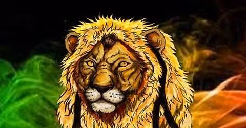 Jah Spirit at Brookline Festival