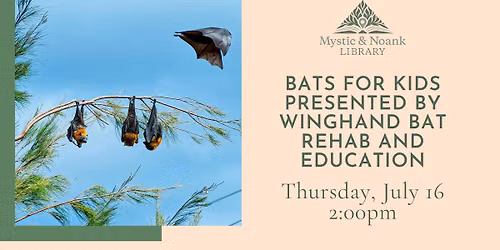 Bats for Kids presented by Winghand Bat Rehab and Education