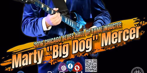 Big Dog Mercer in Homer Glen