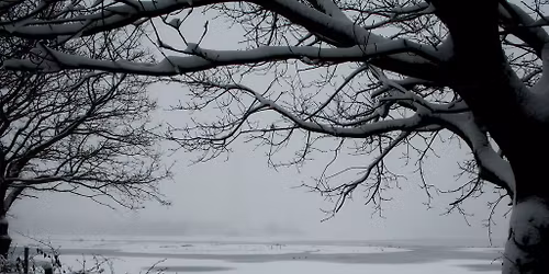 The Whisby Winter Wonderland Safari Adventure, 2026!