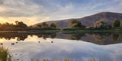 Pendleton Ducks Unlimited Prime Rib Fundraising Banquet