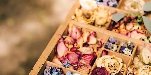 The Forgotten Apothecary Cabinet's Garden Party