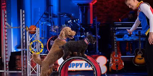 Puppy Pals LIVE