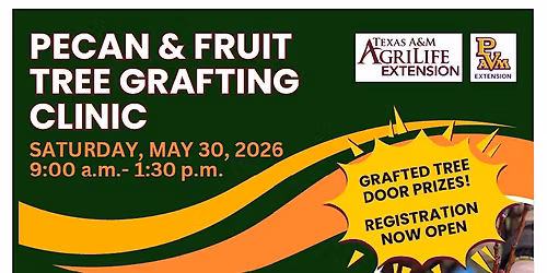 Pecan & Fruit Tree Grafting Clinic