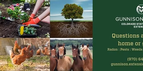 Gunnison Wildfire Mitigation Workshop