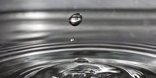 Naturalist Club: Water Quality, Conservation, and Protection