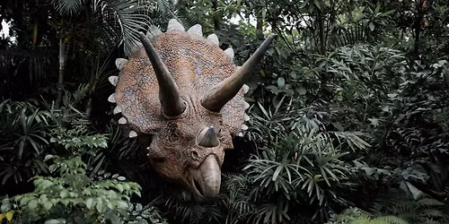 All Out Monsters Attack!!