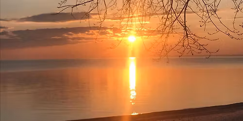 Yoga + Acupuncture Workshop