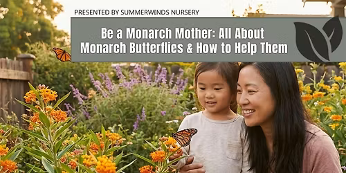 Be a Monarch Mother: All About Monarch Butterflies & How to Help Them