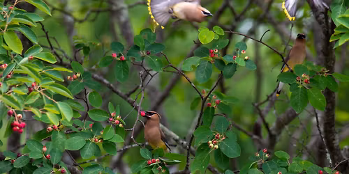 Outdoor Photography Basics