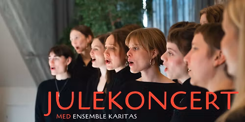 \ud83c\udfb6 Julekoncert med Ensemble Karitas \ud83c\udfb6