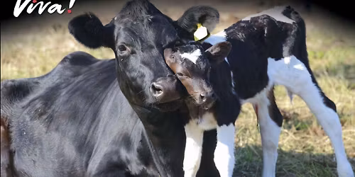 Viva! Lewes Vegan Outreach