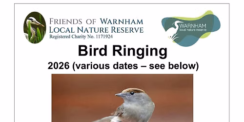 Bird Ringing