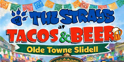 The Strays at Tacos & Beer Slidell Cinco de Mayo Block Party!