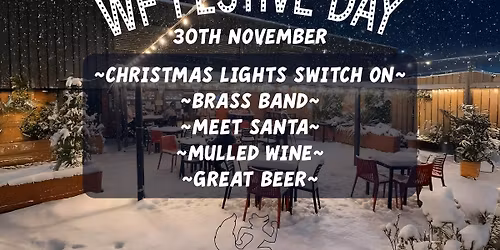 Wily Fox Festive Day