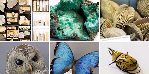 Founders Day Celebration