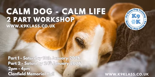 Calm Dog - Calm Life 2 Part Workshop - FULLY BOOKED