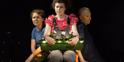 K\u00d6T-EL-\u00c9K  -  "Okos l\u00e1ny, t\u00falteszi mag\u00e1t rajta!" 17. el\u0151ad\u00e1s