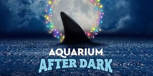 Aquarium After Dark - Water Wonderland Sneak Peek